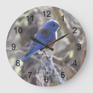 Reloj Redondo Grande Alumnaina