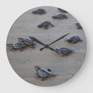Reloj Redondo Grande America Central, El Salvador, Océano Pacífico