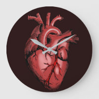 Anatomía Quirúrgica Ilustración del Corazón Artíst