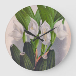 Reloj Redondo Grande Anguloa Uniflora Lindenia