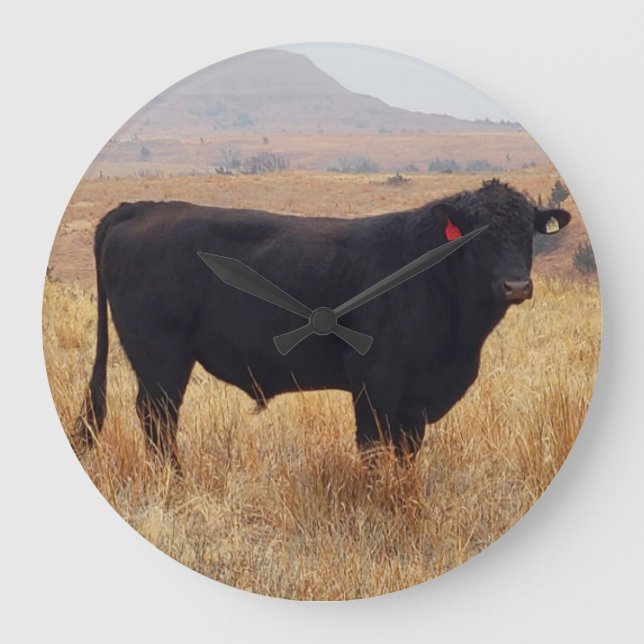 Reloj Redondo Grande Angus negros Steer Grazing con su manada (Anverso)