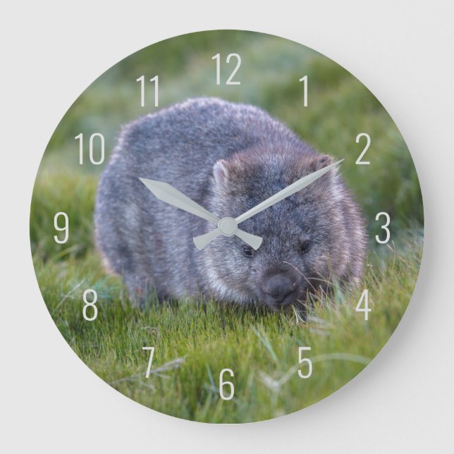 Reloj Redondo Grande Animal salvaje cubano de Wombat Australia Verde (Anverso)