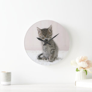 Reloj Redondo Grande Animales de bebé más afectados Licor Tabby Kitte