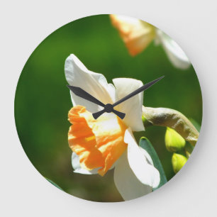Reloj Redondo Grande Apricot Daffodil Wall Clock