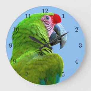 Reloj Redondo Grande Ara Militaris Green Parrot