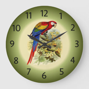 Reloj Redondo Grande Arara macao - Ara macao - Scarlet Macaw - ~
