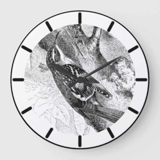 Reloj Redondo Grande Árbol Creeper British Bird Grande Clock (Anverso)