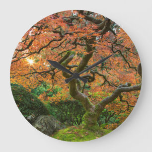 Reloj Redondo Grande Árbol De Arce En Los Jardines Japoneses En Otoño
