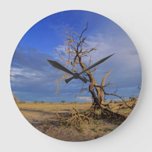 Reloj Redondo Grande árbol de espino de camello muerto (Acacia Erioloba