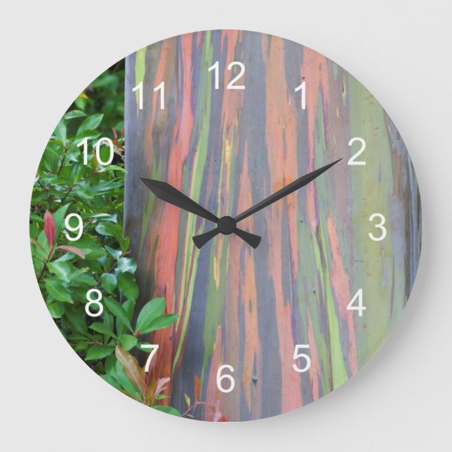 Reloj Redondo Grande Árbol de eucaliptos arcoiris (Anverso)