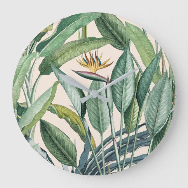 Reloj Redondo Grande Árbol de plátano de selva tropical verde Strelitzi (Anverso)