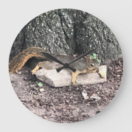 Reloj Redondo Grande Ardilla