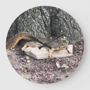 Reloj Redondo Grande Ardilla