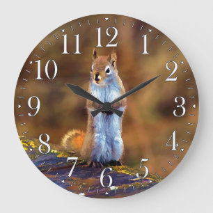 Reloj Redondo Grande Ardilla joven que se coloca alta