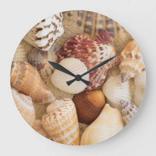 Reloj Redondo Grande Arreglo de las conchas marinas