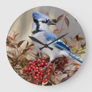 Reloj Redondo Grande Arrendajo azul en Bambú celestial Nandina