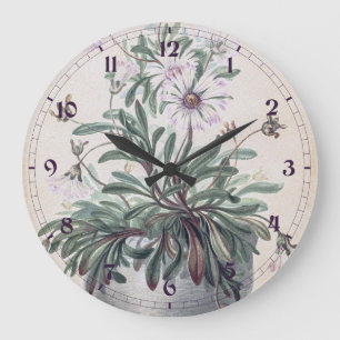 Reloj Redondo Grande Asters de época en una olla