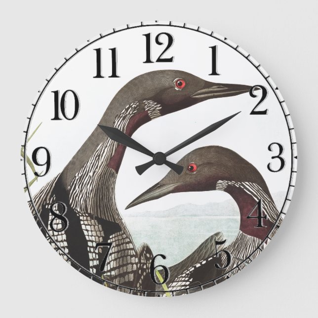 Reloj Redondo Grande Audubon Loon Diver Birds Animal Wall Clock (Anverso)