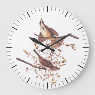 Reloj Redondo Grande Audubon Song Sparrow con la araña pequeña