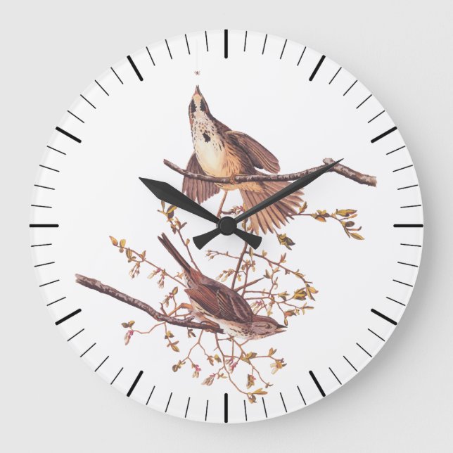 Reloj Redondo Grande Audubon Song Sparrow con la araña pequeña (Anverso)