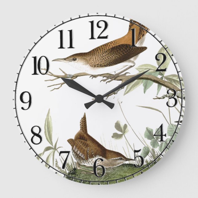 Reloj Redondo Grande Audubon Wren Birds Animal Willife Wall Clock (Anverso)
