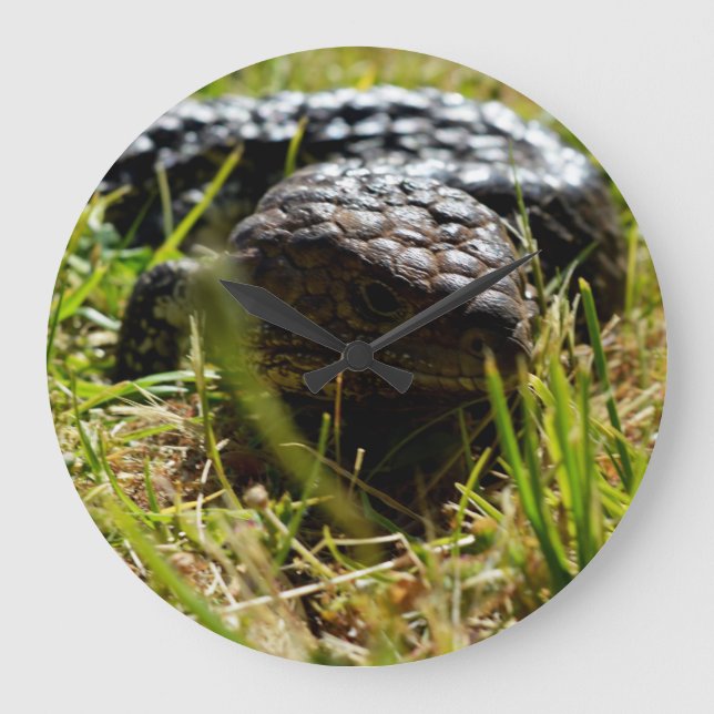 Reloj Redondo Grande Australian Lizard (Stumpy)   (Anverso)