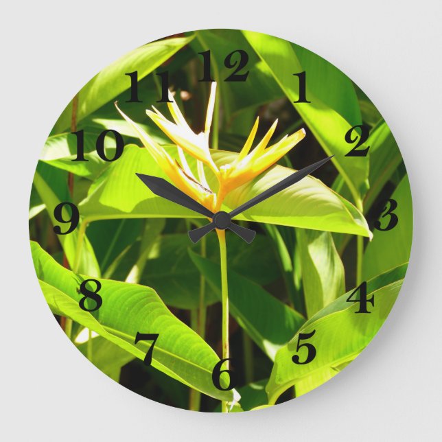 Reloj Redondo Grande Ave del paraíso (Anverso)