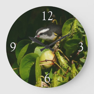 Reloj Redondo Grande Aves Bananaquit comiendo fotografía tropical