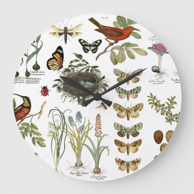 Reloj Redondo Grande aves botánicas y flores de la época moderna (Anverso)