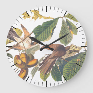 Reloj Redondo Grande Aves de Cuco de Audubon con la cola amarilla en un