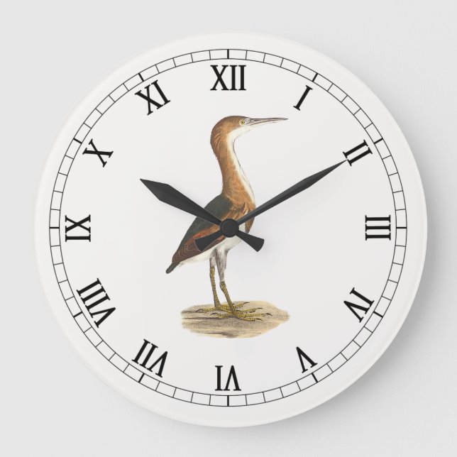 Reloj Redondo Grande Aves de Nueva York al menos Bittern (Ixobrychus ex (Anverso)