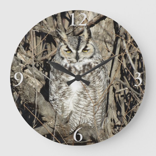 Reloj Redondo Grande B51 Búho Cornudo (Anverso)