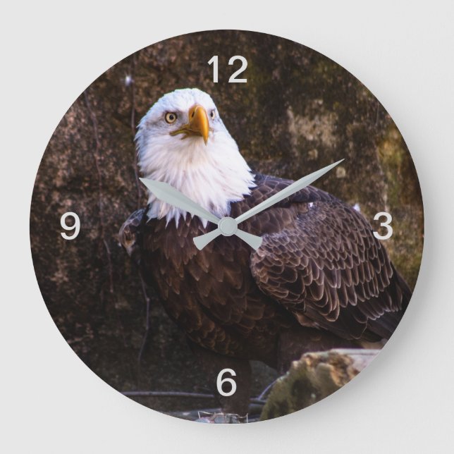 Reloj Redondo Grande Bald Eagle (Anverso)