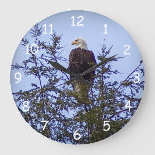 Reloj Redondo Grande Bald Eagle