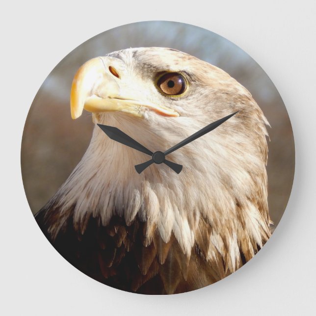 Reloj Redondo Grande Bald Eagle Proud Profile (Anverso)