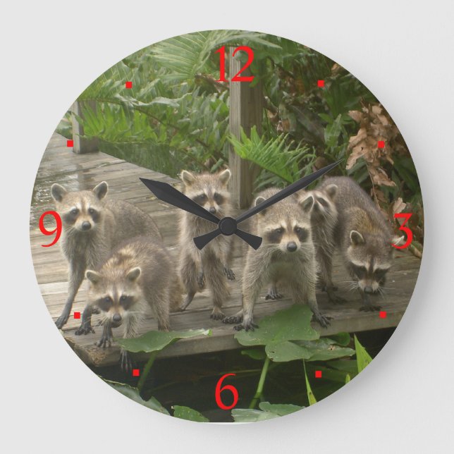 Reloj Redondo Grande Banda de los mapaches> Bloques de pared animal (Anverso)
