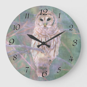 Reloj Redondo Grande Barred Owl Pastel Oilpainting