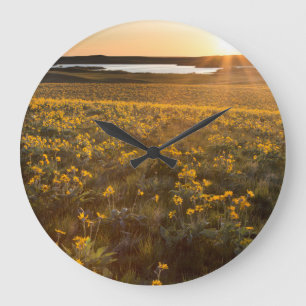 Reloj Redondo Grande Base De Arrowleaf Balsamroot Flores Silvestres