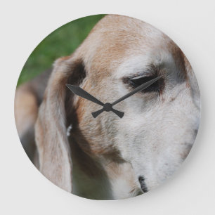 Reloj Redondo Grande beagle portrait