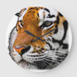 Reloj Redondo Grande Beautiful Bengal Tiger Face Photo