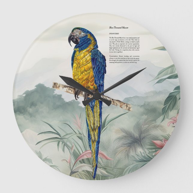 Reloj Redondo Grande Beautiful nature inspired Endangered Macaw (Anverso)