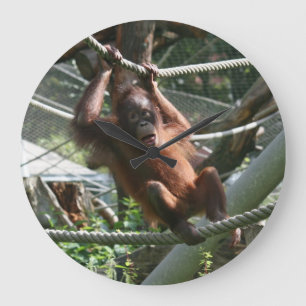Reloj Redondo Grande Bebé Orangutan - Aguanta ahí.