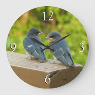 Reloj Redondo Grande Bebé Traga fotografías de aves naturales