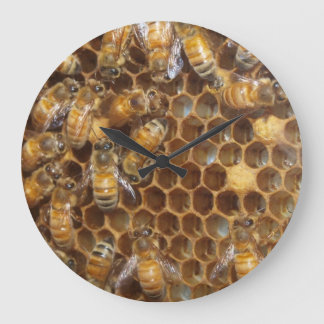 Reloj Redondo Grande Bee Hive