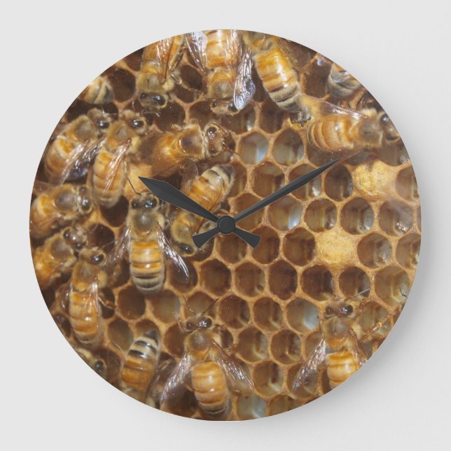 Reloj Redondo Grande Bee Hive (Anverso)