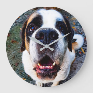 Reloj Redondo Grande Bernhadiner 