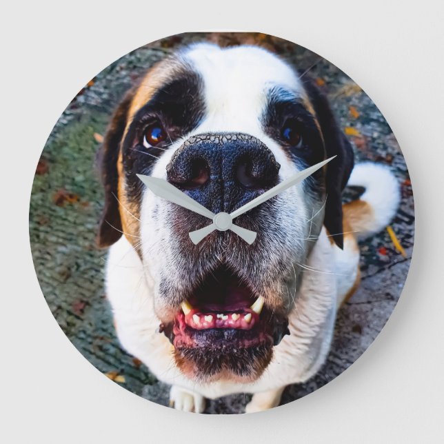 Reloj Redondo Grande Bernhadiner  (Anverso)