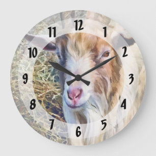 Reloj Redondo Grande Billy Goto Closeup