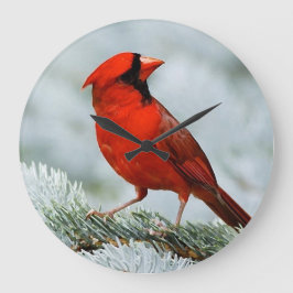 Reloj Redondo Grande Bird red_iphone
