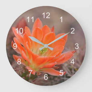 Reloj Redondo Grande Bloom en Naranja